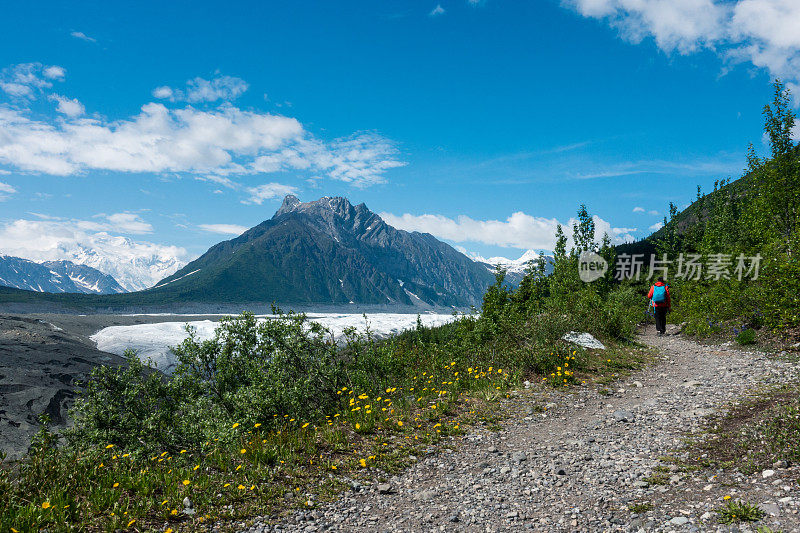 一名徒步攀登冰川的男子，Wrangell St. Elias NP, Alaska